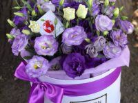 39178509 1241174516014226 8518441056017055744 N