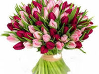 Images (3)