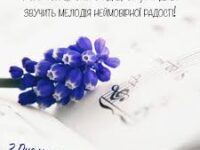 Images (2)