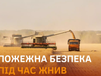 Безымянный
