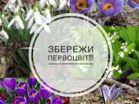 Photo1709304312