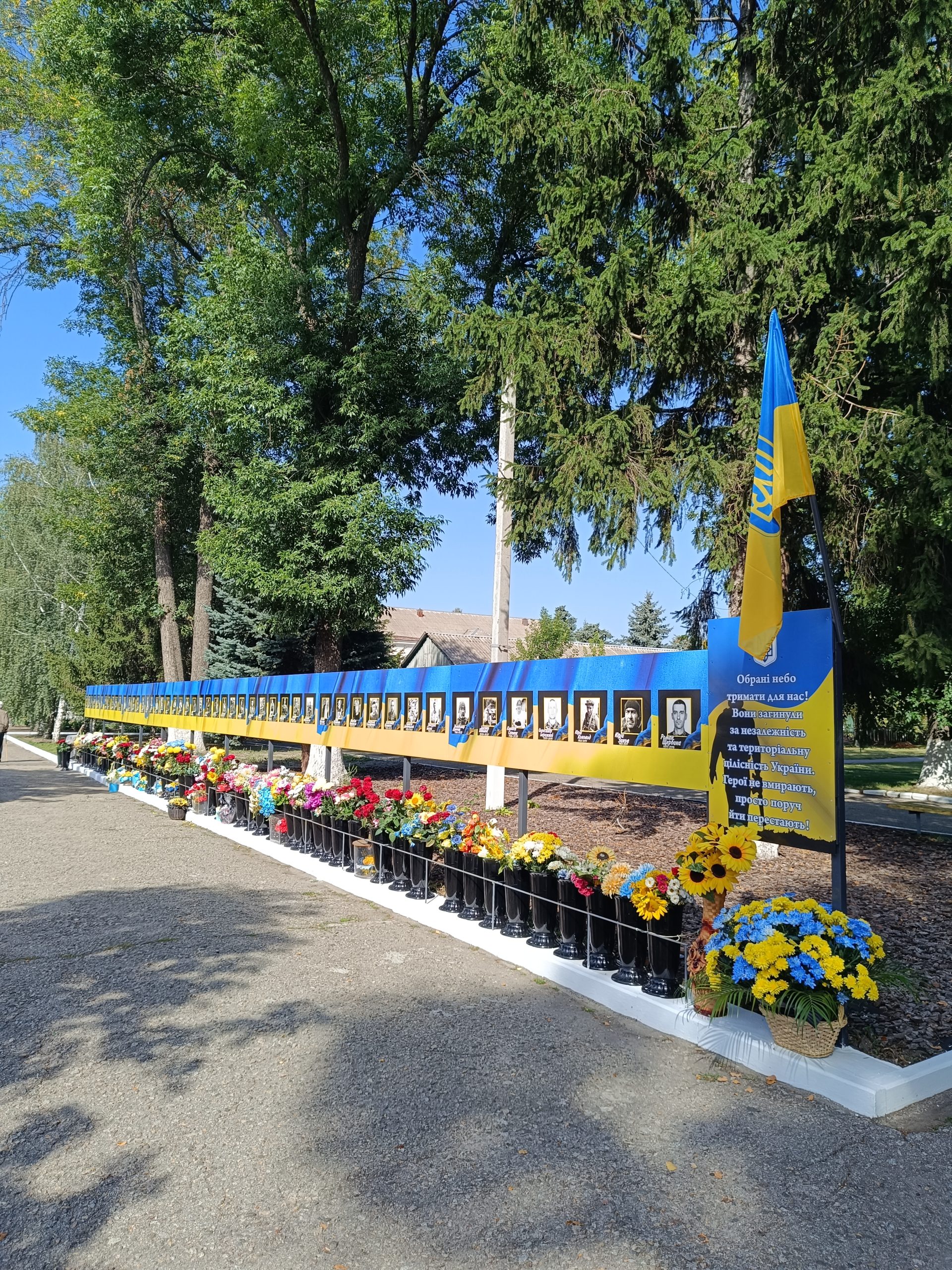 Img 20250829 103000