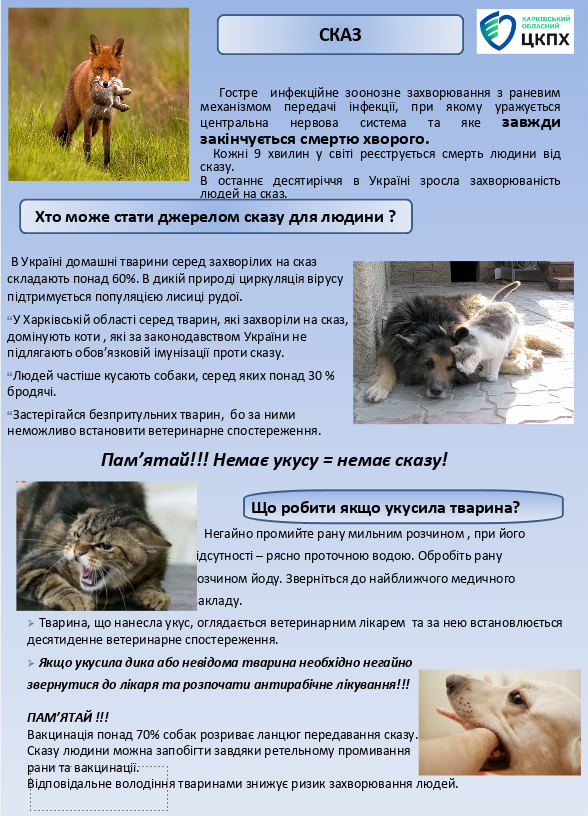 Знімок екрана 2025 09 20 170040