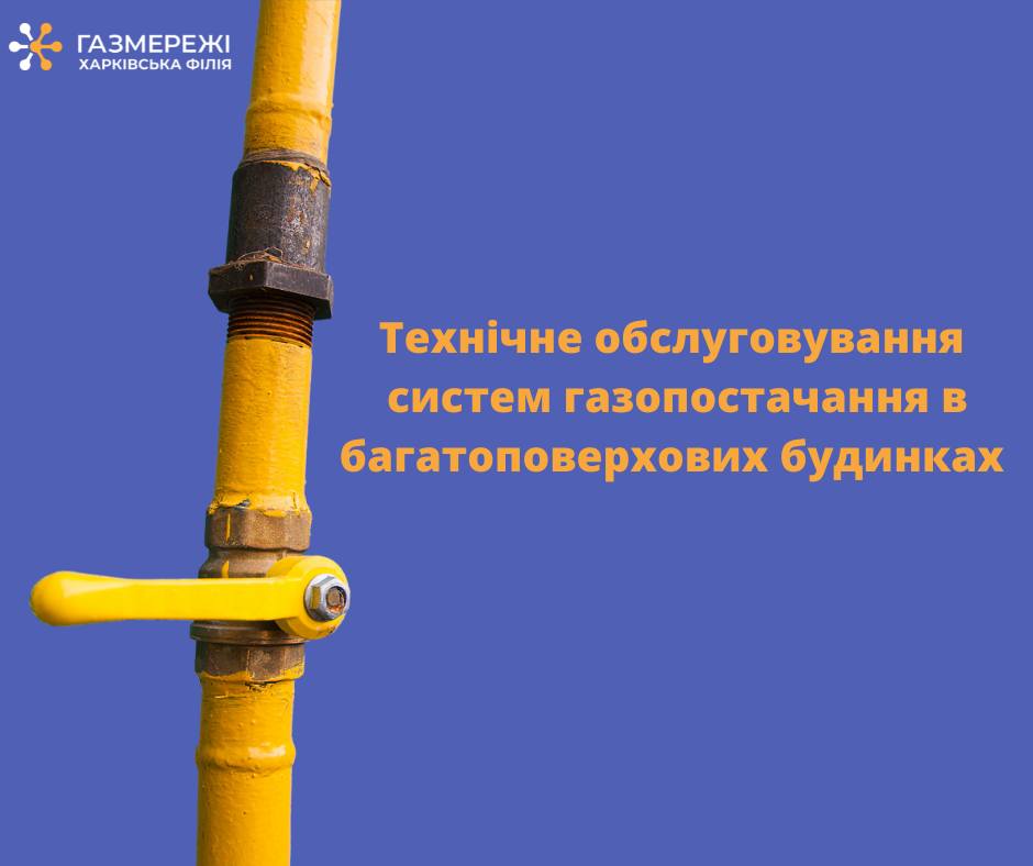 478104413 589371240741746 3643056863607028540 N