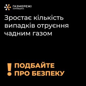 579876811 809887918690076 2895337290213211793 N