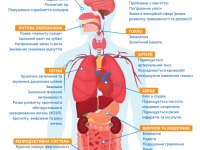 Знімок екрана 2025 12 29 134721