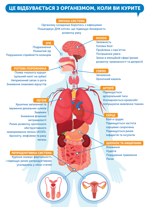 Знімок екрана 2025 12 29 134721