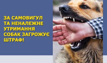 486998762 1054274223397174 74157352326990055 N