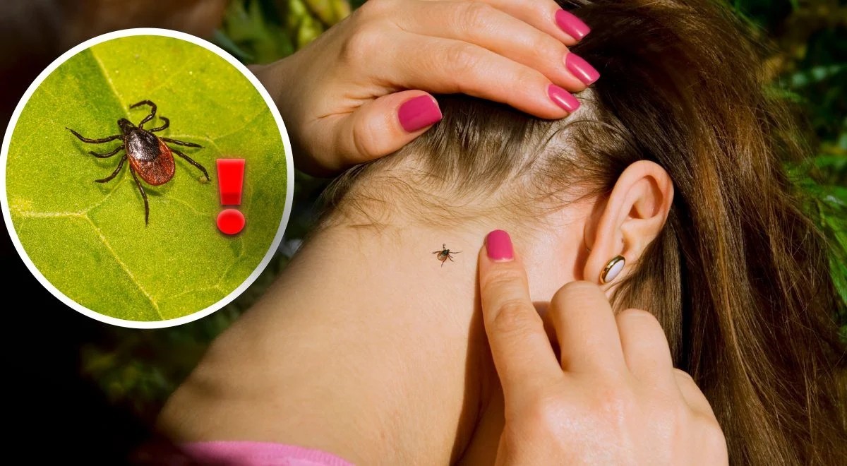 Обережно кліщ