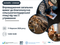 Семінар птиця (1)