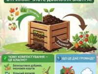 Images (6)