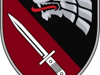 Ukrainian Special Forces 4th Special Purpose Regiment Unit Insignia
