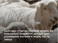 Images (6)