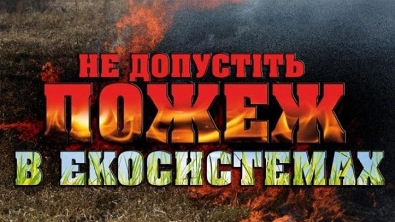 Yl3qbxfqflrz7mspsgaq