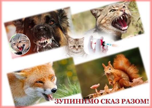 Images (18)